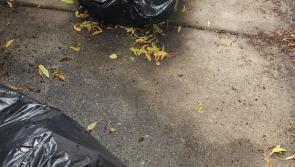 'SHAME! SHAME! SHAME!' - Kilkenny community slam 'disgraceful' dumping 