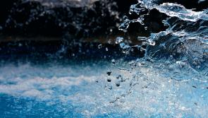 ALERT: More Kilkenny swimming locations close due to poor water quality 