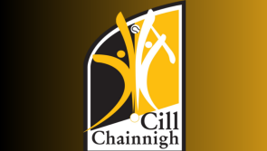 ICYMI: Two notable figures to depart Kilkenny hurling roles 