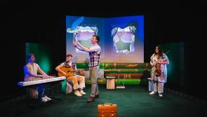 Children's theatre show coming to Market Cross Kilkenny