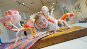 Pictures: Contemporary textile exhibition opens at Kilkenny's Design and Craft Gallery