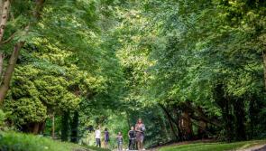 Over €578,000 for significant enhancements to recreational amenities in Carlow and Kilkenny