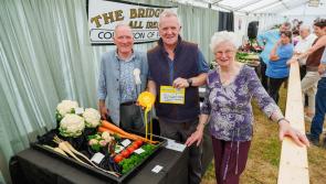 Kilkenny man's veg are a blooming success at the Tullamore Show