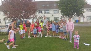 CAMERA CLUB: Kilkenny housing estate shows fantastic community spirit!