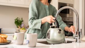 Several Kilkenny towns and villages told to boil water before consuming due to parasite detected