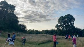Ancient practice of seed saving in Kilkenny can teach us  things about modern life