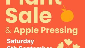 Popular Kilkenny plant sale and apple pressing day is back!