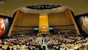 ‘Pivotal time for the international community:’ Kilkenny senator urges action at UN General Assembly
