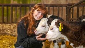 Kilkenny TikTok star to promote farm safety at National Ploughing Championships
