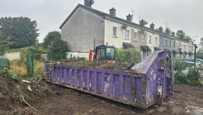 Works begin at derelict Kilkenny site after health and safety worries 
