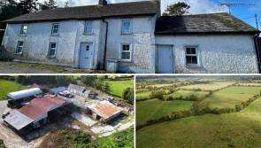 FOR SALE: 'Highly attractive and versatile farming enterprise' in Kilkenny