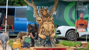 Festival of Forestry to be held at weekend - Kilkenny Live