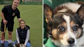 Young Kilkenny couple adopt old dog whose owners 'no longer had time for her'