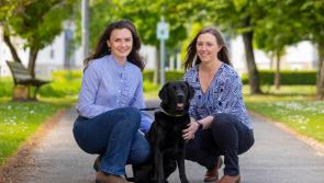 Budget spending approved for new south Kilkenny vet school