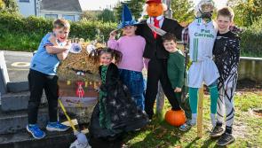 Pictures: Kilkenny school's Scarecrow Parade is a Halloween howl!