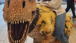 Jurrasic Takeover at MacDonagh Junction in Kilkenny!


