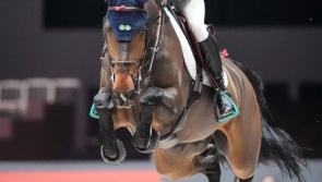 Kilkenny to the fore as Timmy Brennan impresses for Show Jumping Ireland in Geneva