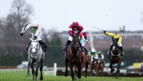 Willie Mullins ends 2025 on a high as Lossiemouth fends off Brighterdaysahead in December Hurdle