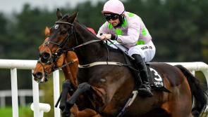 Sharjah tops the bill on Red Mills Day at Gowran Park