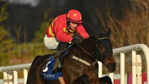 Cheltenham Festival winner among the main attractions at Gowran