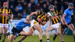 Kilkenny matches to feature as GAAGO announce schedule of games for 2024