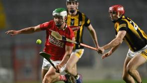 Rebels resurgence denies Cats in Division 1 league semi-final