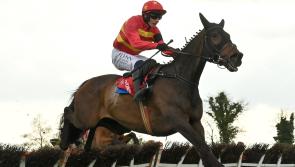 Dream week continues for Mullins-Townend axis as Robbie Power announces retirement