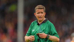 Cork referee appointed to Kilkenny and Limerick All-Ireland hurling final