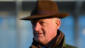 Mullins hoping SkyBet Moscow Flyer Novice Hurdle contender proves to be in top division at Punchestown