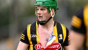 PICTURES: Top shots from Kilkenny's victory over Dublin