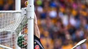 PICTURES: Some of the best shots as Kilkenny claim victory over Clare!
