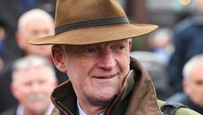 Mullins excited ahead of a vintage renewal of the Lawlor's Of Naas Novice Hurdle