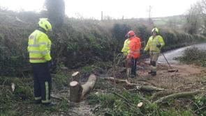 Storm Eunice: Kilkenny Fire Service 'playing a blinder' clearing storm damage