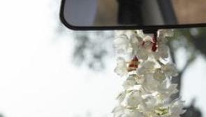 Kilkenny gardaí warn motorists to stop engaging in 'new trend' or penalties may be issued