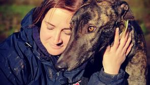Local animal charity PAWS Rescue faces funding crisis

