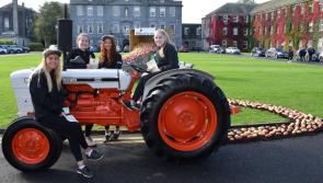 Pictures: Kilkenny students celebrate National Potato Day at Kildalton College