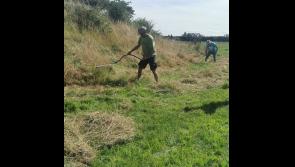 Lughnasadh Scything Meitheal at Rathbeagh 
