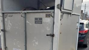 Gardaí not horsing around after arresting driver pulling trailer in Kilkenny 