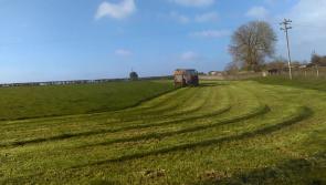 AMAZING - Kilkenny silage being cut today