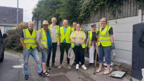 Many hands make light work as laneway gets makeover from volunteers in Kilkenny City