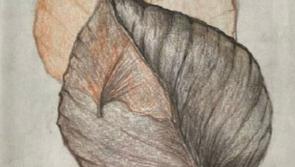 Kilkenny artist's exhibition set to open at Watergate Theatre