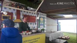 WATCH: Kilkenny chef cooks up a storm in the 'Big Red Shed' at Ploughing 2018
