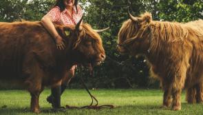  The Farmer Wants a Wife to feature at the Ploughing Championships 