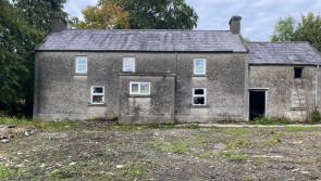 Farmhouse on large site in Kilkenny for sale - see more!