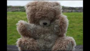 VIDEO: Teddy bears set to soar over Kilkenny at St Canice's summer fair