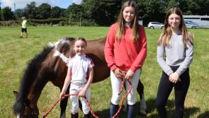 Pictures: Great turnout for sunny Castlegannon Show