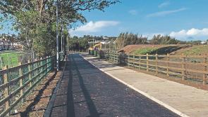 Mother of teen assaulted on popular Limerick amenity describes 'heinous' attack