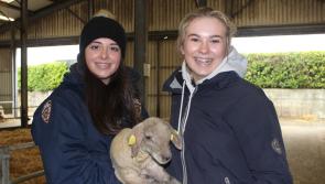 Ag Science students get a taste of Kilkenny farm life at Kildalton
