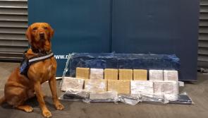 Sniffer dog helps gardai seize large quantity of cocaine
