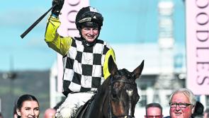 Willie Mullins lands the perfect 10 in record breaking haul at the Cheltenham Festival